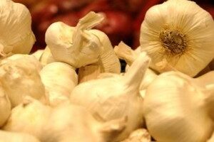 garlic