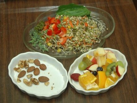 Sample: a balanced meal for a pair of Crimson-winged parrots.