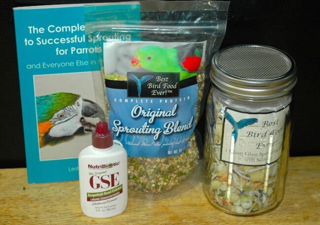 Original Sprouting Blend Kit with Glass Jar OSB Kit with Glass Jar
