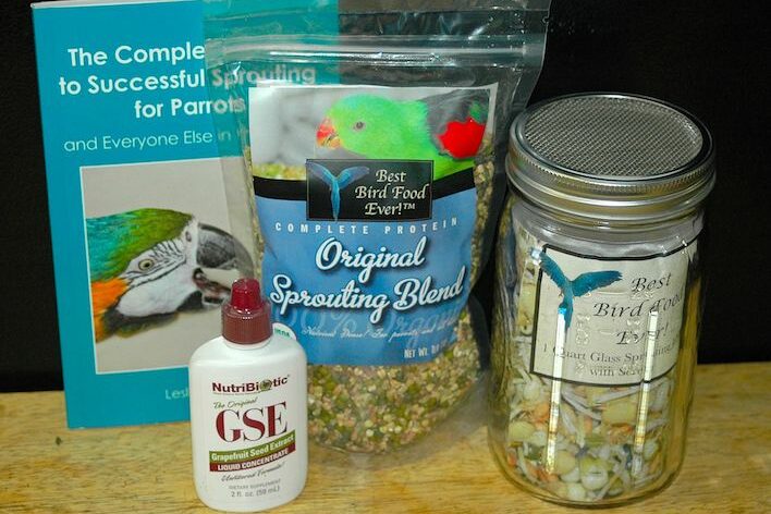 OSB Kit with Glass Jar