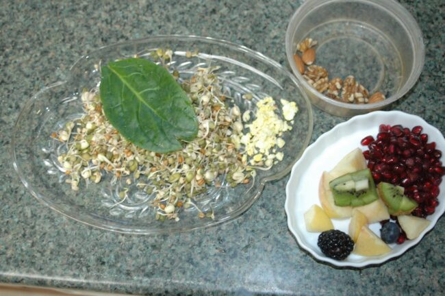 DSC_0034 1 Sample of a 'Balanced' meal for a medium-sized parrot.