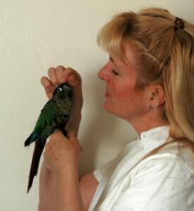 Leslie and Elvis, Green-cheeked Conure.