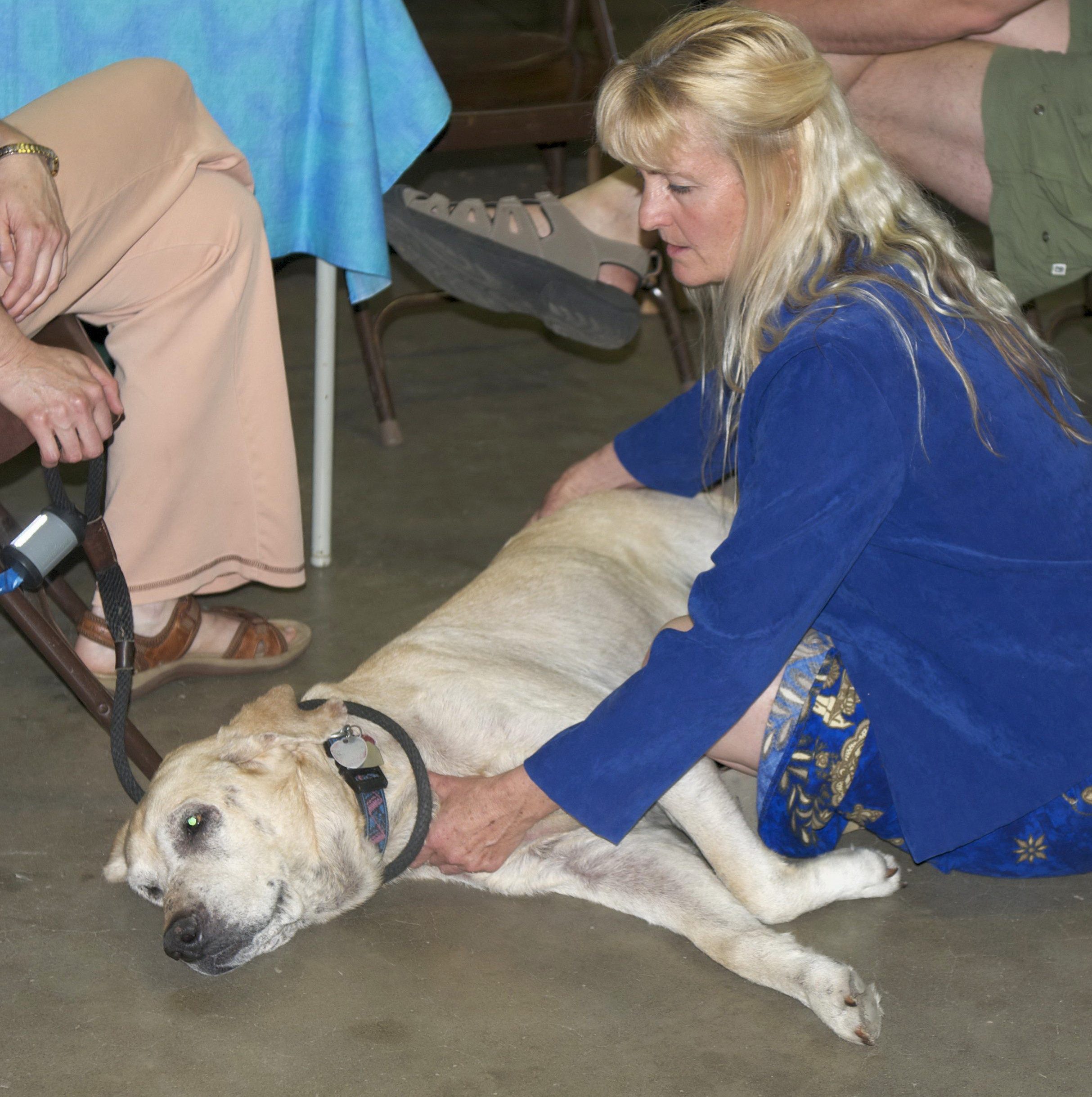 ClientSessions Hands-on-healing