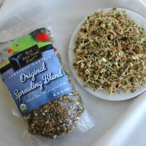 OSB Sprouts