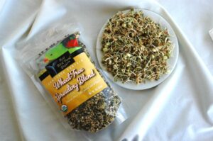 Wheat-Free Sprouting BLend