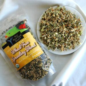 Wheat-Free Sprouting BLend