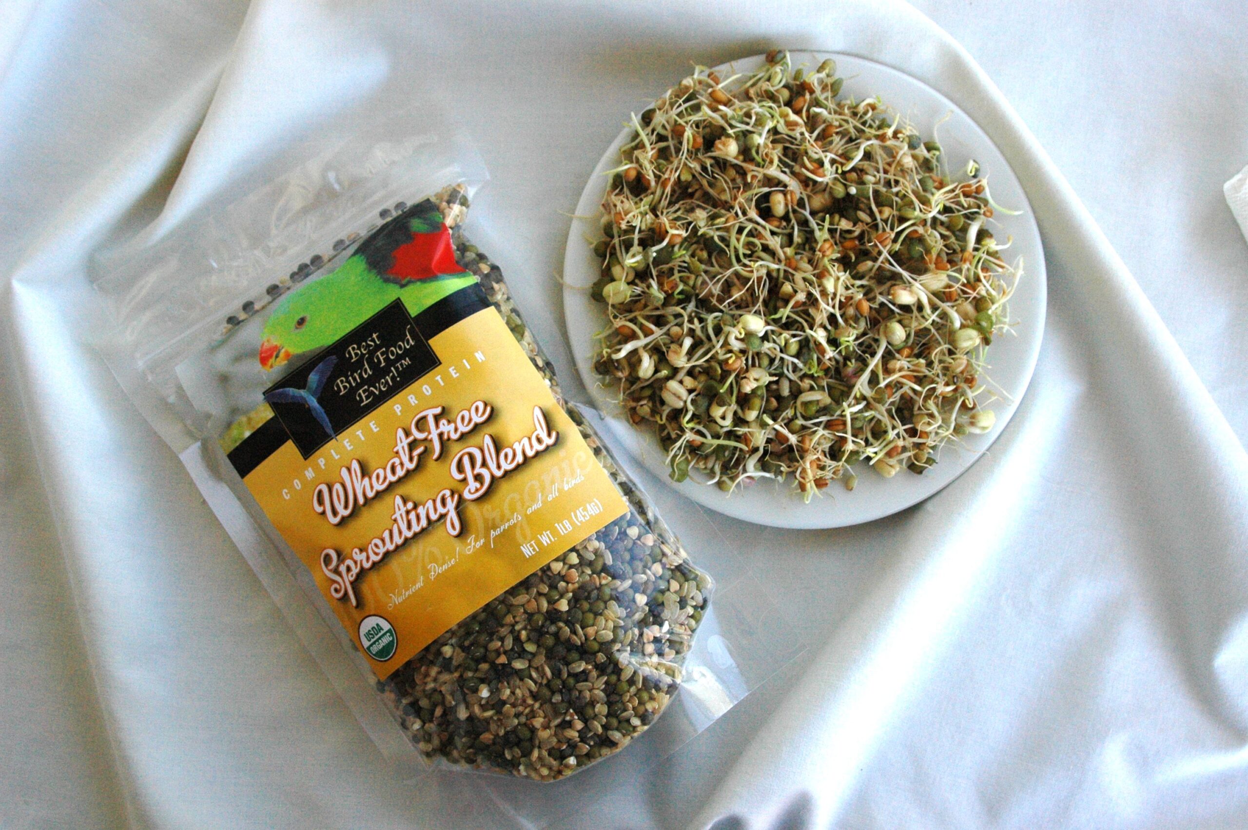 Wheat-Free Sprouting BLend