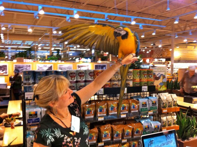 Leslie & Corby at Whole Foods Macaw salute