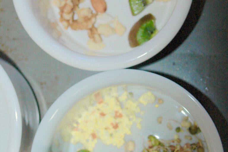 Balanced Macaw meal.