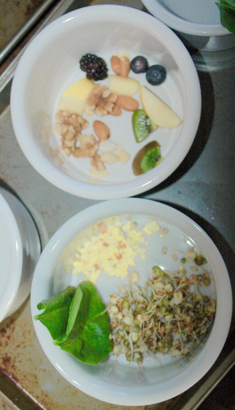 Balanced Macaw meal.