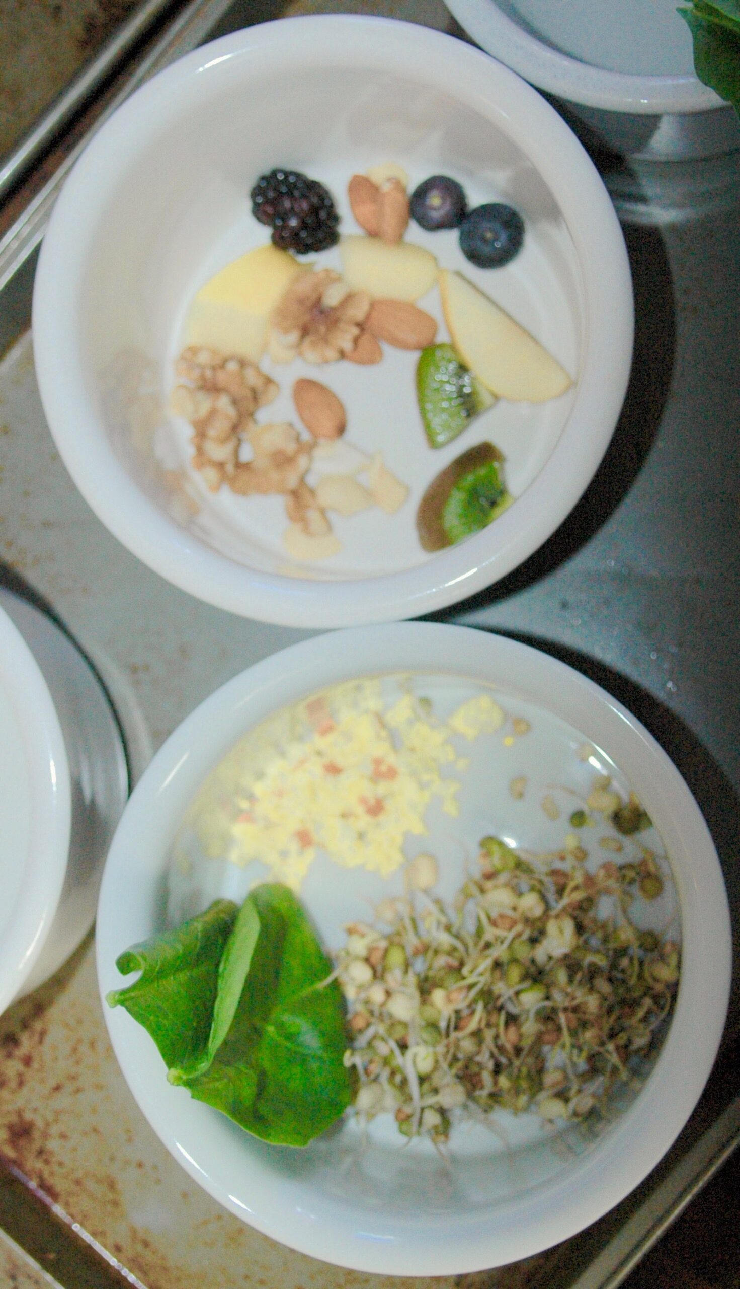 Balanced Macaw meal.