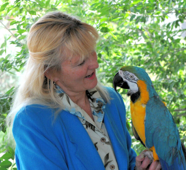 Get holistic natural parrot help
