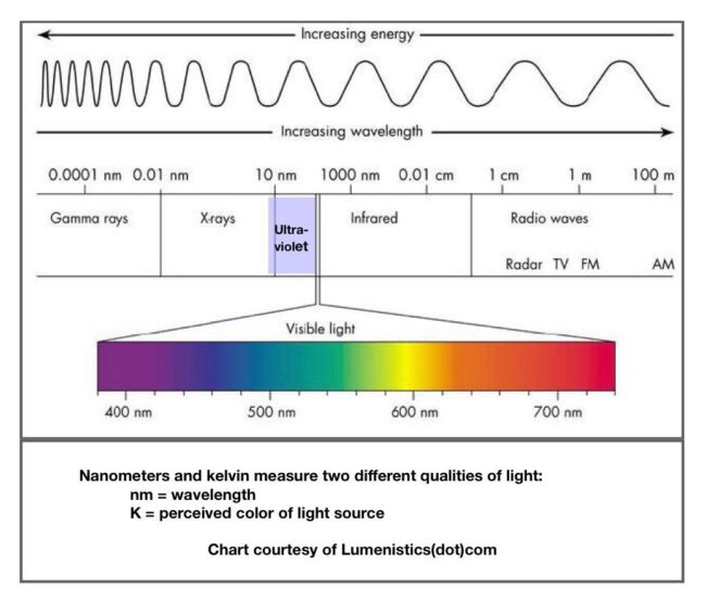 Avian Lighting Wave Length Chart