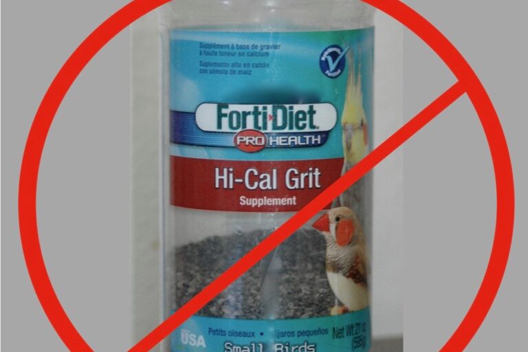 Never Feed Bird Grit