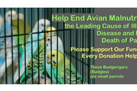 GoFundMe Support Humane Exotic avian nutritional Research