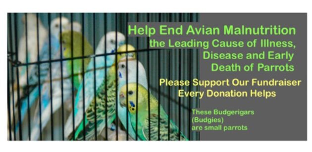 GoFundMe Support Humane Exotic avian nutritional Research
