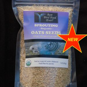 best parrot food oat seeds for sprouting