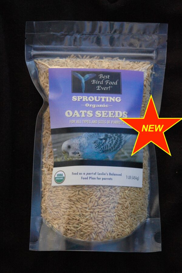 best parrot food oat seeds for sprouting