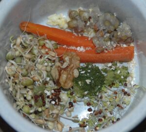 A parrot carrot meal