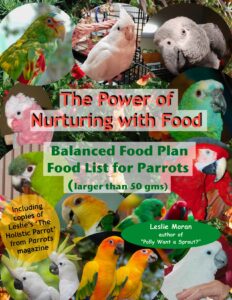 Best Organic Parrot Food