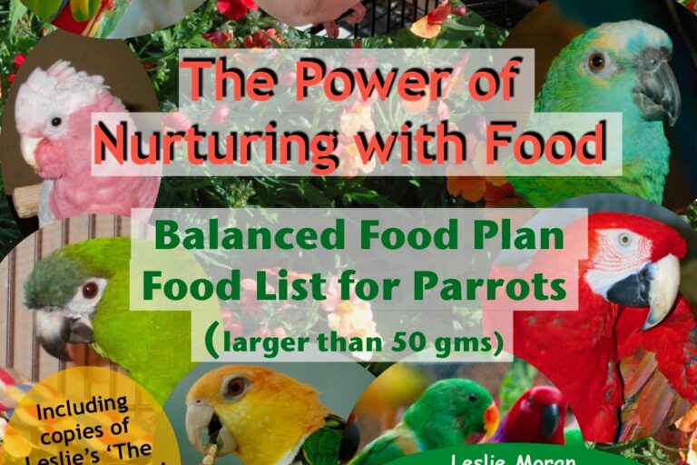 Best Organic Parrot Food