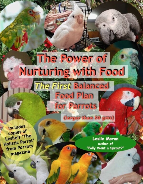 best organic parrot food