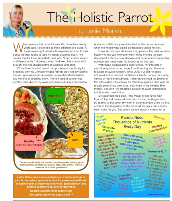 Best organic parrot food diet